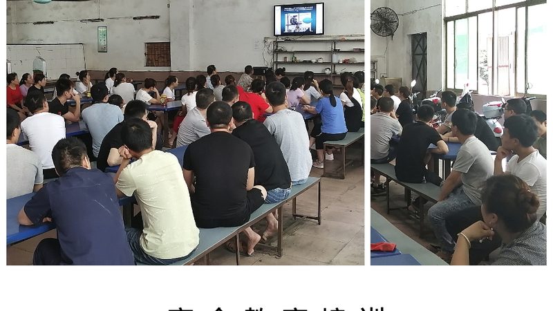 团队管理培训系统：打造高效团队的关键工具